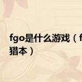 fgo是什么游戏（fgo狩猎本）