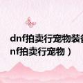 dnf拍卖行宠物装备（dnf拍卖行宠物）