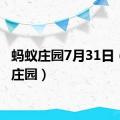 蚂蚁庄园7月31日（蚂蚁庄园）