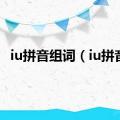 iu拼音组词（iu拼音）