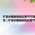 矿泉水瓶自制鱼缸氧气不用电小学生（矿泉水瓶自制鱼缸氧气）