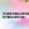 开口的松子是怎么弄开的（开口松子是怎么弄开口的）