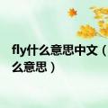 fly什么意思中文（fly什么意思）