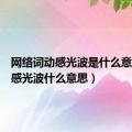 网络词动感光波是什么意思（动感光波什么意思）