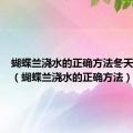 蝴蝶兰浇水的正确方法冬天怎么养（蝴蝶兰浇水的正确方法）