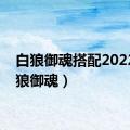 白狼御魂搭配2022（白狼御魂）