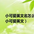 小可爱英文名怎么读（小可爱英文）