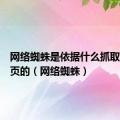 网络蜘蛛是依据什么抓取更多网页的（网络蜘蛛）