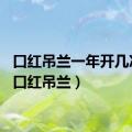 口红吊兰一年开几次花（口红吊兰）