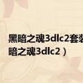 黑暗之魂3dlc2套装（黑暗之魂3dlc2）