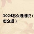 1024怎么进组织（1024怎么进）