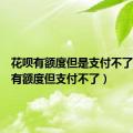 花呗有额度但是支付不了（花呗有额度但支付不了）