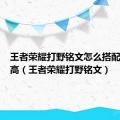 王者荣耀打野铭文怎么搭配伤害最高（王者荣耀打野铭文）