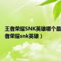 王者荣耀SNK英雄哪个最强（王者荣耀snk英雄）