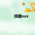 辉腾suv