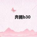 奔腾b30