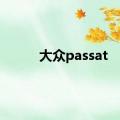 大众passat