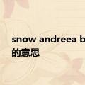 snow andreea balan的意思