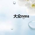 大众nms