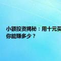 小额投资揭秘：用十元买基金，你能赚多少？