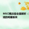 MSCI概念股全面解析：投资领域的明星板块