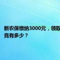 新农保缴纳3000元，领取金额究竟有多少？