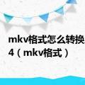 mkv格式怎么转换成mp4（mkv格式）