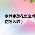 水养水莲花怎么养（莲花怎么养）