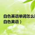 白色英语单词怎么读写（白色英语）