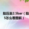 胎压表2.5bar（胎压表2 5怎么看图解）