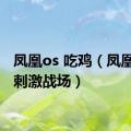 凤凰os 吃鸡（凤凰os玩刺激战场）