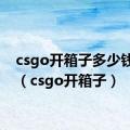 csgo开箱子多少钱一次（csgo开箱子）