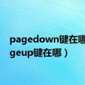 pagedown键在哪（pageup键在哪）