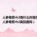 人参皂苷rh2有什么作用在那买（人参皂苷rh2真抗癌吗）