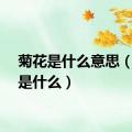 菊花是什么意思（菊花是什么）