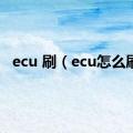 ecu 刷（ecu怎么刷）