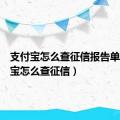 支付宝怎么查征信报告单（支付宝怎么查征信）