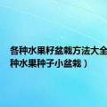 各种水果籽盆栽方法大全（100种水果种子小盆栽）