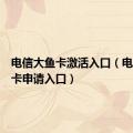 电信大鱼卡激活入口（电信大鱼卡申请入口）