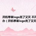 开机苹果logo亮了又灭 不开机怎么办（开机苹果logo亮了又灭）