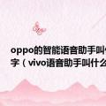 oppo的智能语音助手叫什么名字（vivo语音助手叫什么）