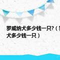 罗威纳犬多少钱一只?（罗威纳犬多少钱一只）