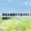 淘宝头像图片大全2022（淘宝头像图片）