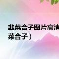 韭菜合子图片高清（韭菜合子）