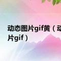 动态图片gif黄（动态图片gif）