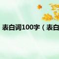 表白词100字（表白词）