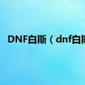 DNF白斯（dnf白斯）