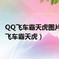 QQ飞车霸天虎图片（qq飞车霸天虎）