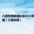 八级伤残赔偿标准2023多少钱大概（八级伤残）