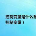 控制变量是什么意思（控制变量）